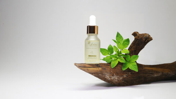 Jasmine - Image 7